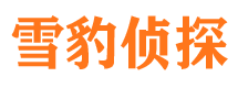 丽水出轨调查